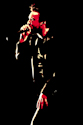 27, 28 et 29 mai 2011 - Festival Detours - Th&eacute;&acirc;tre de Poche Avec Jungle Fresh, No Way Back, Dan-T, Met Smurf, Arthy et Fresh, Sika and the Foolishons, Insane Solidarity, Gaspard Herblot, Primitiv, Hip Hop/Du Tremplin &agrave; la Sc&egrave;ne